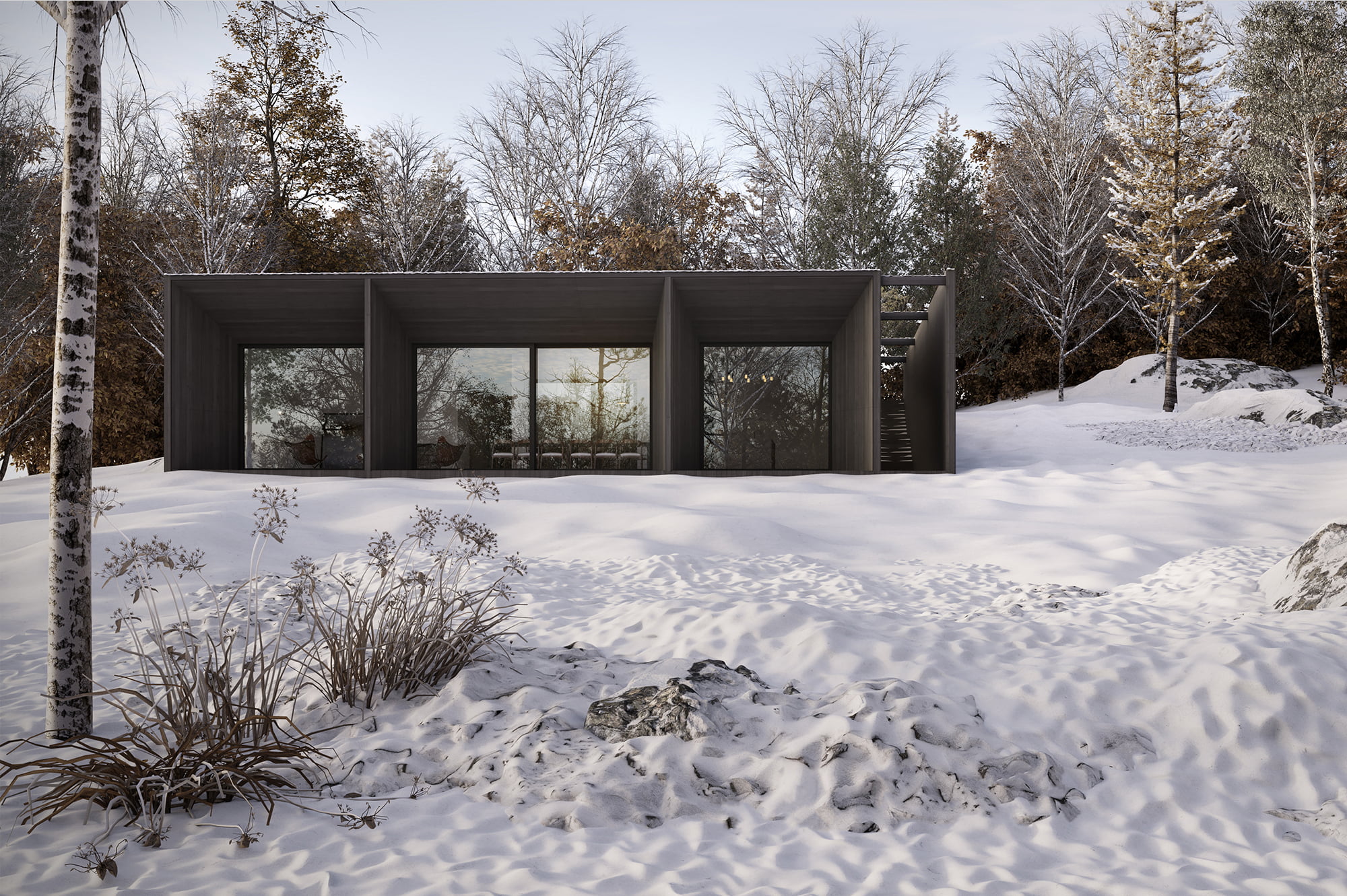 casa térrea em arquitetura moderna próximo a uma floresta com neve